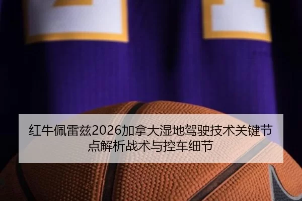 红牛佩雷兹2026加拿大湿地驾驶技术关键节点解析战术与控车细节