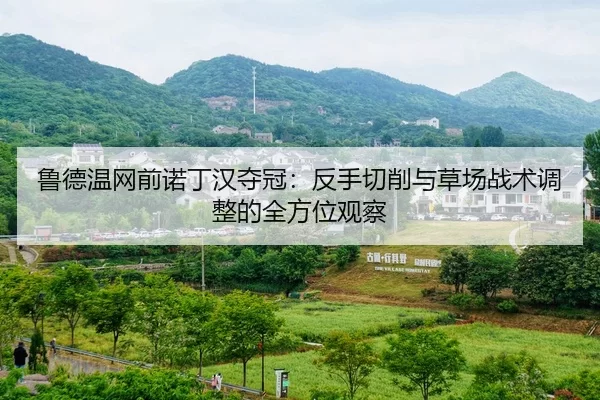 鲁德温网前诺丁汉夺冠：反手切削与草场战术调整的全方位观察